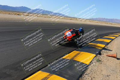 media/Dec-18-2022-SoCal Trackdays (Sun) [[8099a50955]]/Turn 4 Inside (10am)/